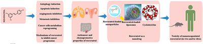 Resveratrol-Based Nanoformulations as an Emerging Therapeutic Strategy for Cancer
